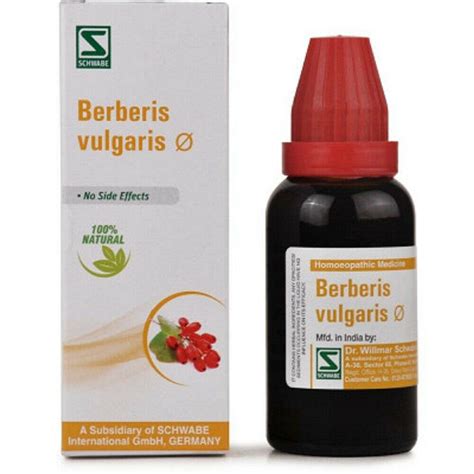 berberis vulgaris tincture